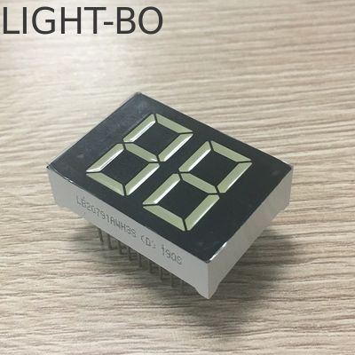 20 mm wit kleur 2 cijfers 7 segment LED-scherm voor digitale waterverwarmer
