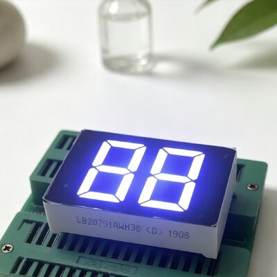 Ultra helder wit 20 mm 2 cijfers gemeenschappelijke kathode 7 segment LED-scherm voor digitale waterverwarmer