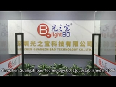 aangepast segment led display