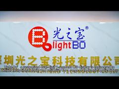 Op maat gemaakt LED-scherm met twee cijfers